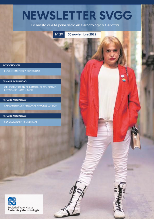 NewsletterSVGG29_portada